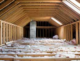2010-frugal-save-spend-more-6-insulation-lg Home insulation