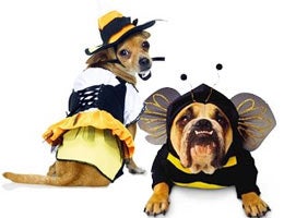 2010-halloween-costumes-5-pets-lg Pets: That dog's hot