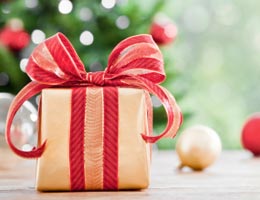 2010-reader-holiday-tips-3-beautiful-gifts-lg