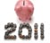 How to be financially fit in 2011