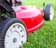 Keep grass longer