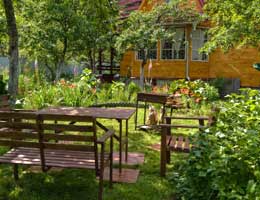 5-tips-for-low-cost-yard-4-work-lg Make the plants do the work