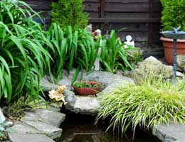 5-tips-for-low-cost-yard-6-break-lg Break up that lawn
