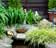 Break up that lawn