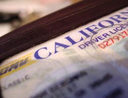 Never go on a trip with an expired license Never go on a trip with an expired license