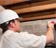 Termite inspection