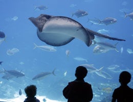 6-tips-stretch-vacation-dollars-7-attractions-lg Discount attractions