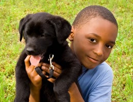 7-Costs-Owning-Pet-1-Intro-Lrg