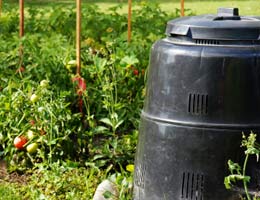 7-ingredients-garden-4-manure-lg