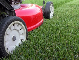 8-ways-to-save-money-on-costly-lawn-care-1-intro-lg text