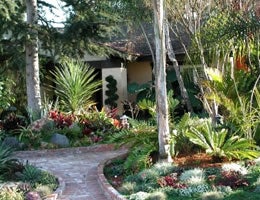 8-ways-to-save-money-on-costly-lawn-care-2-Xeriscape-lg Xeriscape your yard