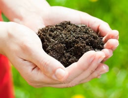 8-ways-to-save-money-on-costly-lawn-care-4-compost-lg text