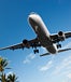 Airplane ascending into blue sky, with palm trees visible