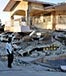 earthquake disaster haiti