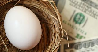 Egg in nest with money © Margie Hurwich/Shutterstock.com