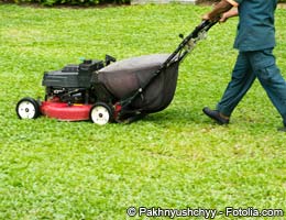 Take care of Dad and his yard too Take care of Dad and his yard, too