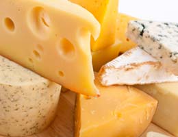 Stay cheesy Stay cheesy