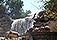 Witchita Falls