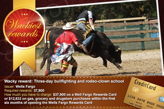 Three-day bullfighting and rodeo-clown school