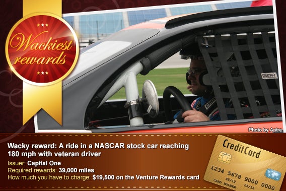 A ride in a NASCAR stock car reaching 180 mph with veteran driver