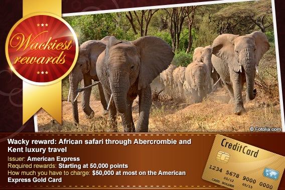 African safari through Abercrombie and Kent luxury travel