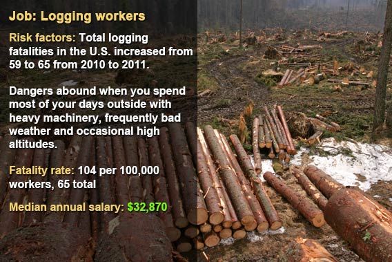 Dangerous jobs: Logging workers © Fotolia.com