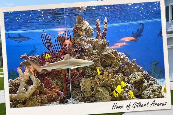 Aquarium