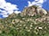 Arizona