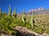 Arizona