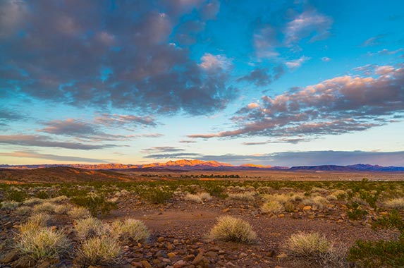 Nevada Nevada | GaryWeathers/Getty Images