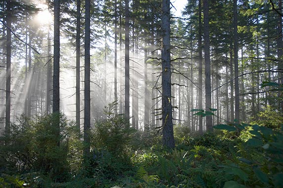Washington Washington | ThomasNorthcut/DigitalVision/Getty Images