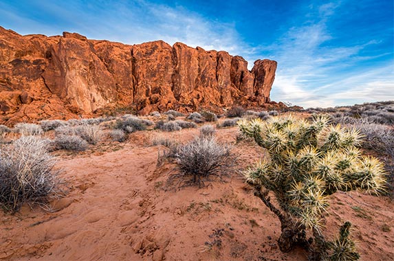Nevada Nevada | Kawin Towe/Shutterstock.com