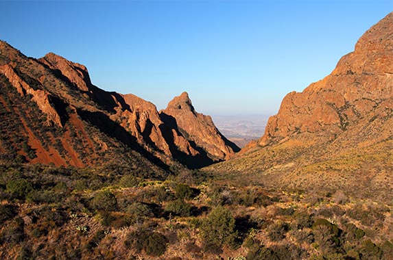 Texas Texas | William Silver/Shutterstock.com