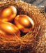 Three golden eggs in nest