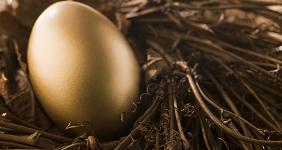 Golden retirement egg in nest © Monkey Business Images/Shutterstock.com