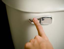 The tale of the wallet flusher The tale of the ... wallet flusher