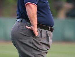 Effects of obesity