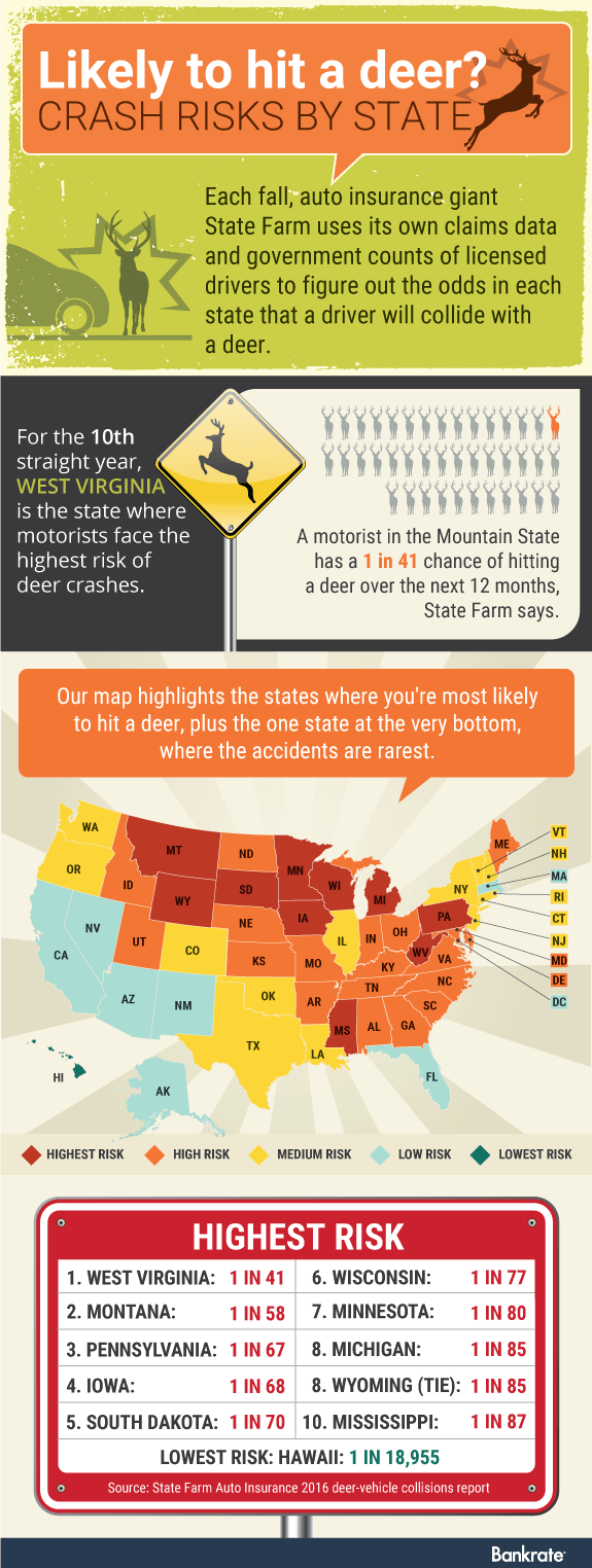 Deer in your headlights? Crash risk by state Crash risks by state; Car, deer, deer sign © Shutterstock.com