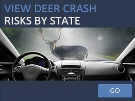 Deer crashes by state