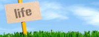 a brown sign reading "life" in grass with a blue sky background 