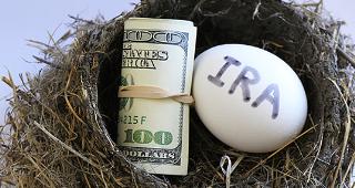 IRA egg and money in nest © Don Mammoser/Shutterstock.com