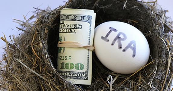 IRA egg and money in nest © Don Mammoser/Shutterstock.com