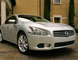 luxury-car-for-you-5-Maxima-lg 2010 Nissan Maxima 3.5 SV