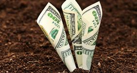 Money growing out of soil © isak55/Shutterstock.com