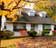 A house is just a home