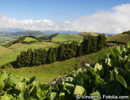 The Portuguese Azores The Portuguese Azores