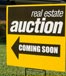Real Estate auction