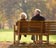 Retirement resources