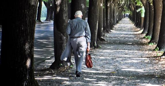 Senior businessman walking tree lined path © Martin M303/Shutterstock.com