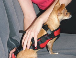Consider a harness
